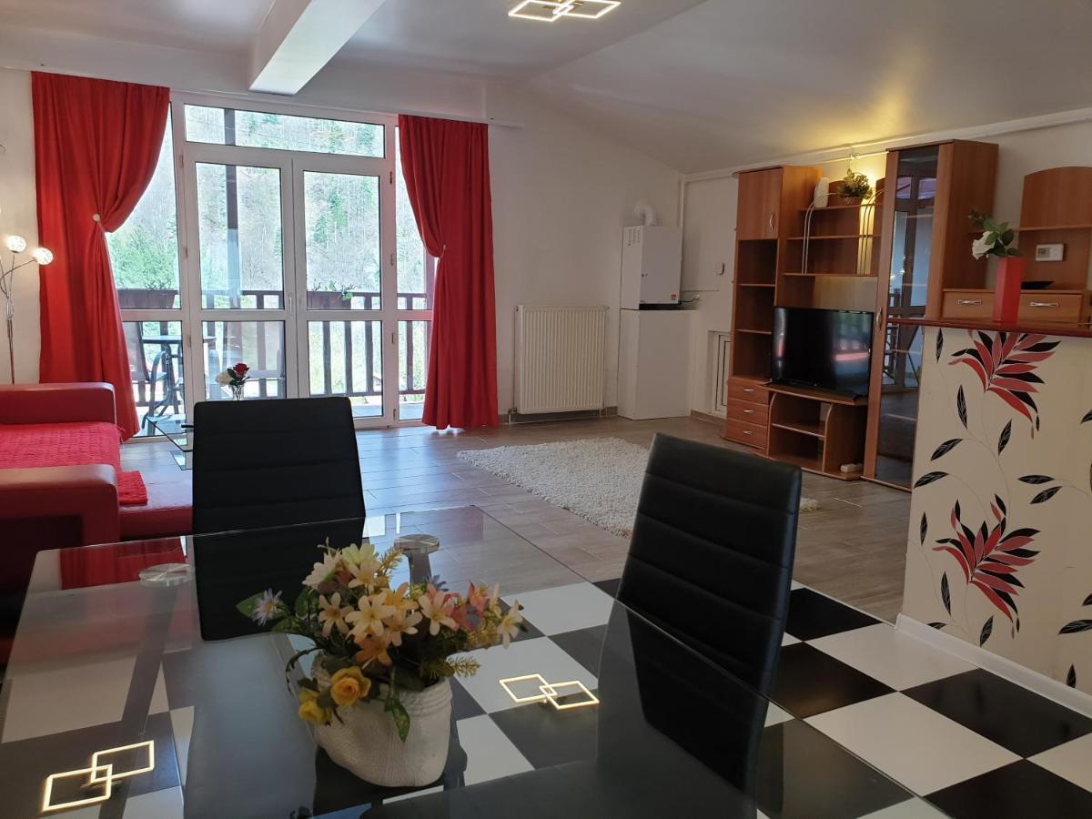 Sinaia Alex Apartments Екстер'єр фото