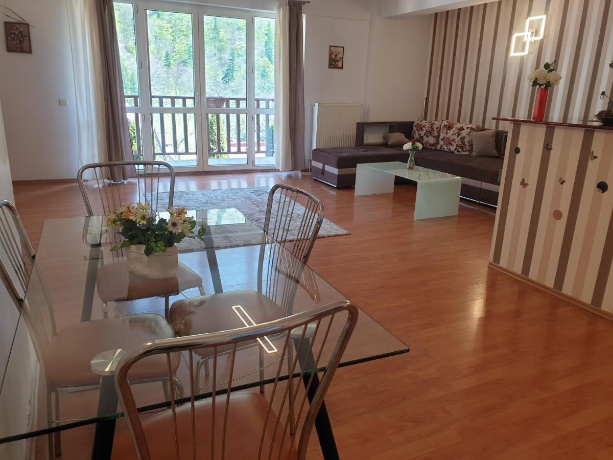 Sinaia Alex Apartments Екстер'єр фото