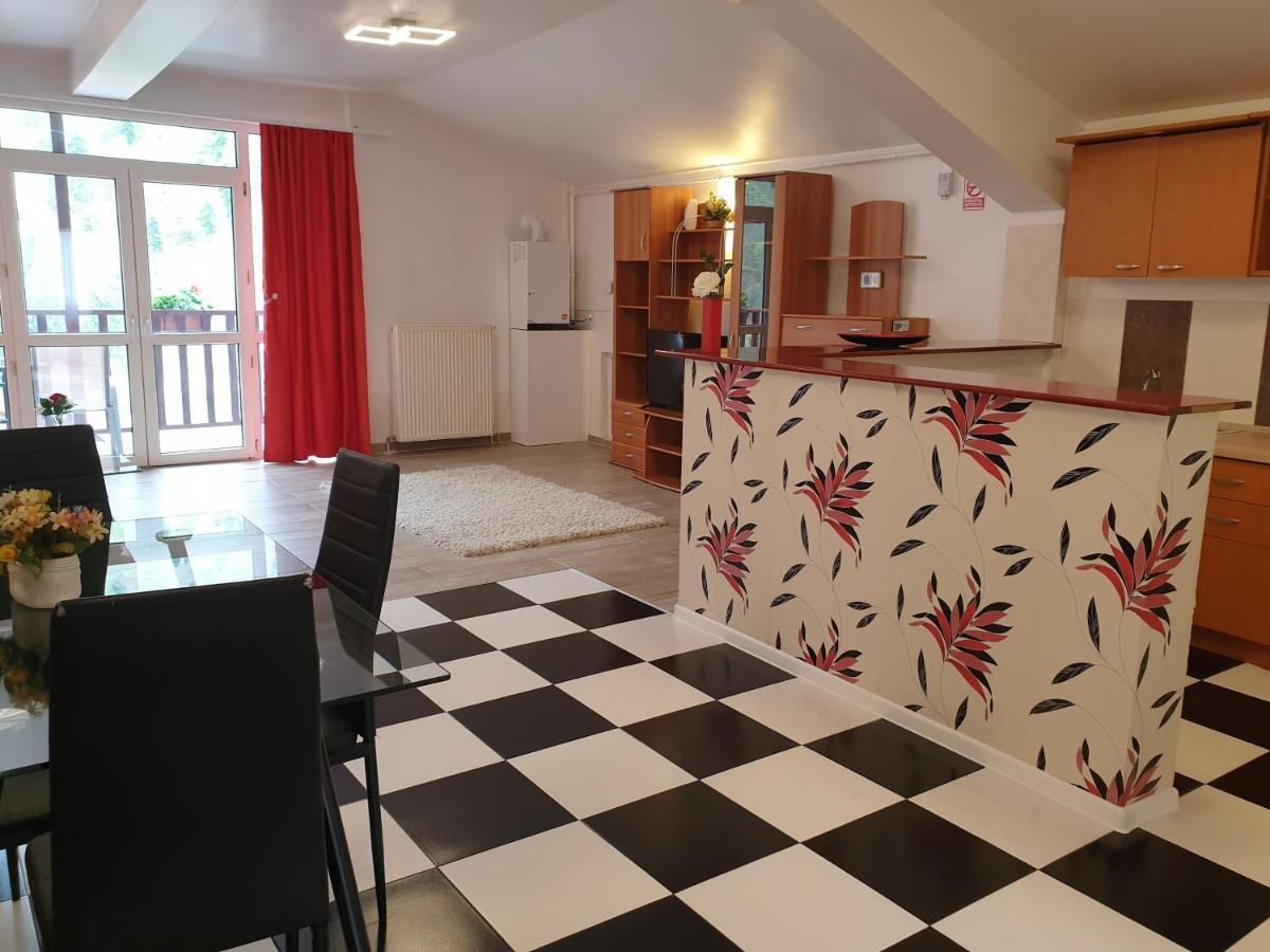 Sinaia Alex Apartments Екстер'єр фото