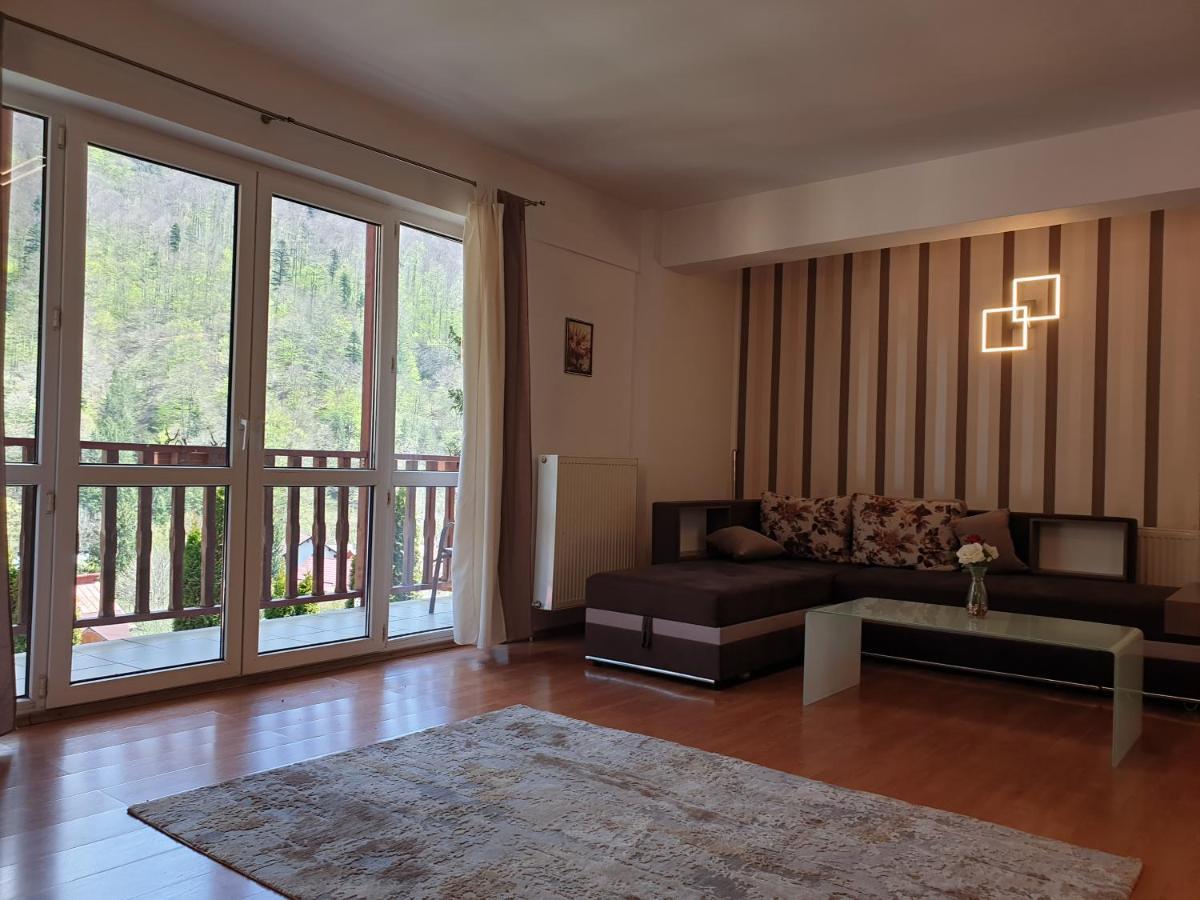 Sinaia Alex Apartments Екстер'єр фото