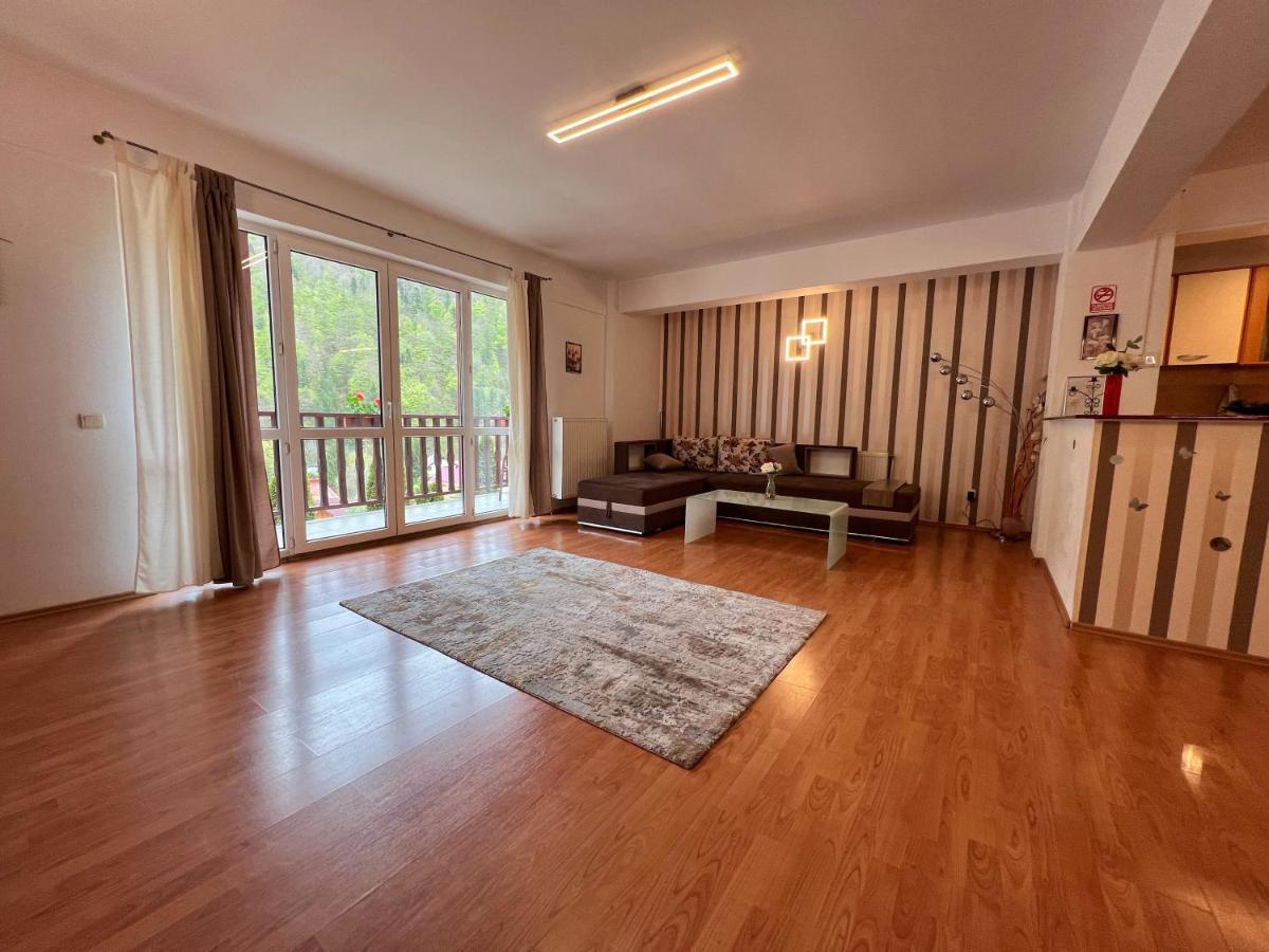 Sinaia Alex Apartments Екстер'єр фото
